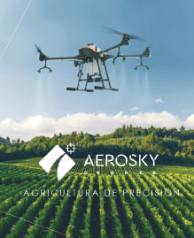 Servicio de drones agrícolas
